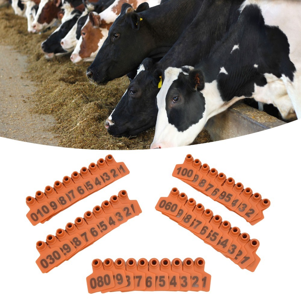 100 szt. TPU Kolczyki identyfi – Livestock Ear Tag recenzja i cena