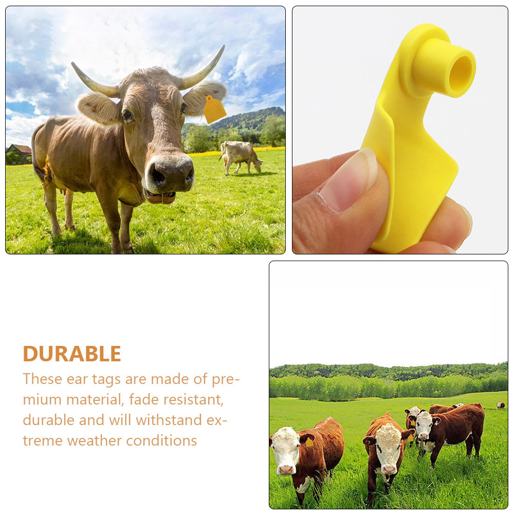 100 sztuk plastikowych znaczni – Livestock Ear Tag recenzja i cena