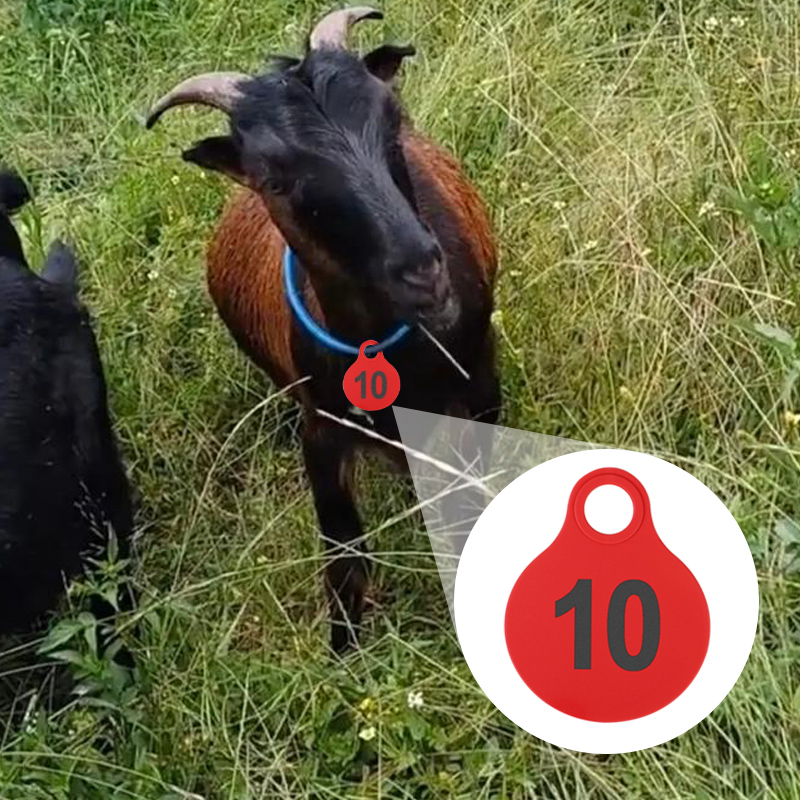 001-100 Etykiety wiszące TPU d – Livestock Ear Tag recenzja i cena
