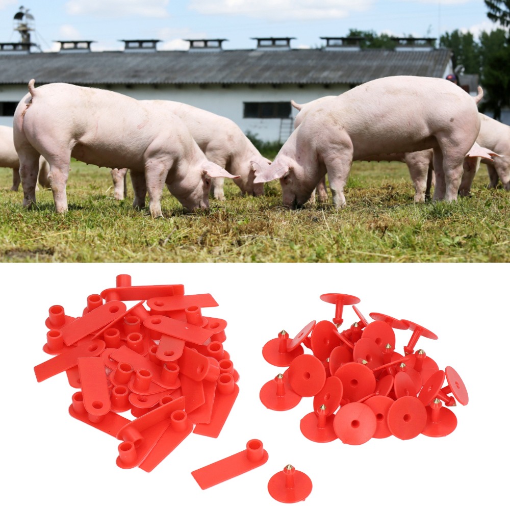 100 szt. Ręcznie pisane, puste – Livestock Ear Tag recenzja i cena