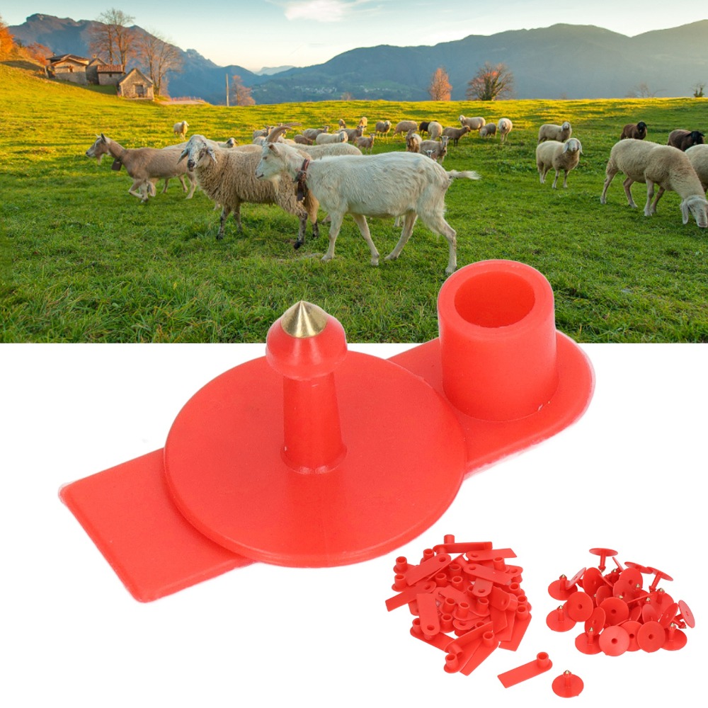 100 szt. Ręcznie pisane, puste – Livestock Ear Tag recenzja i cena